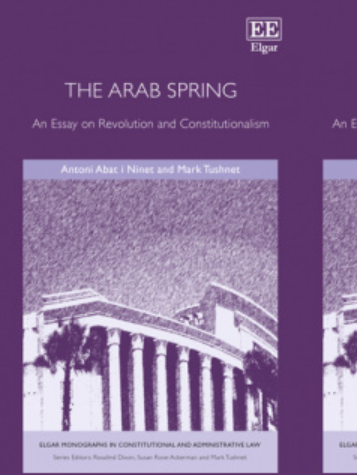 Constitutional Violence